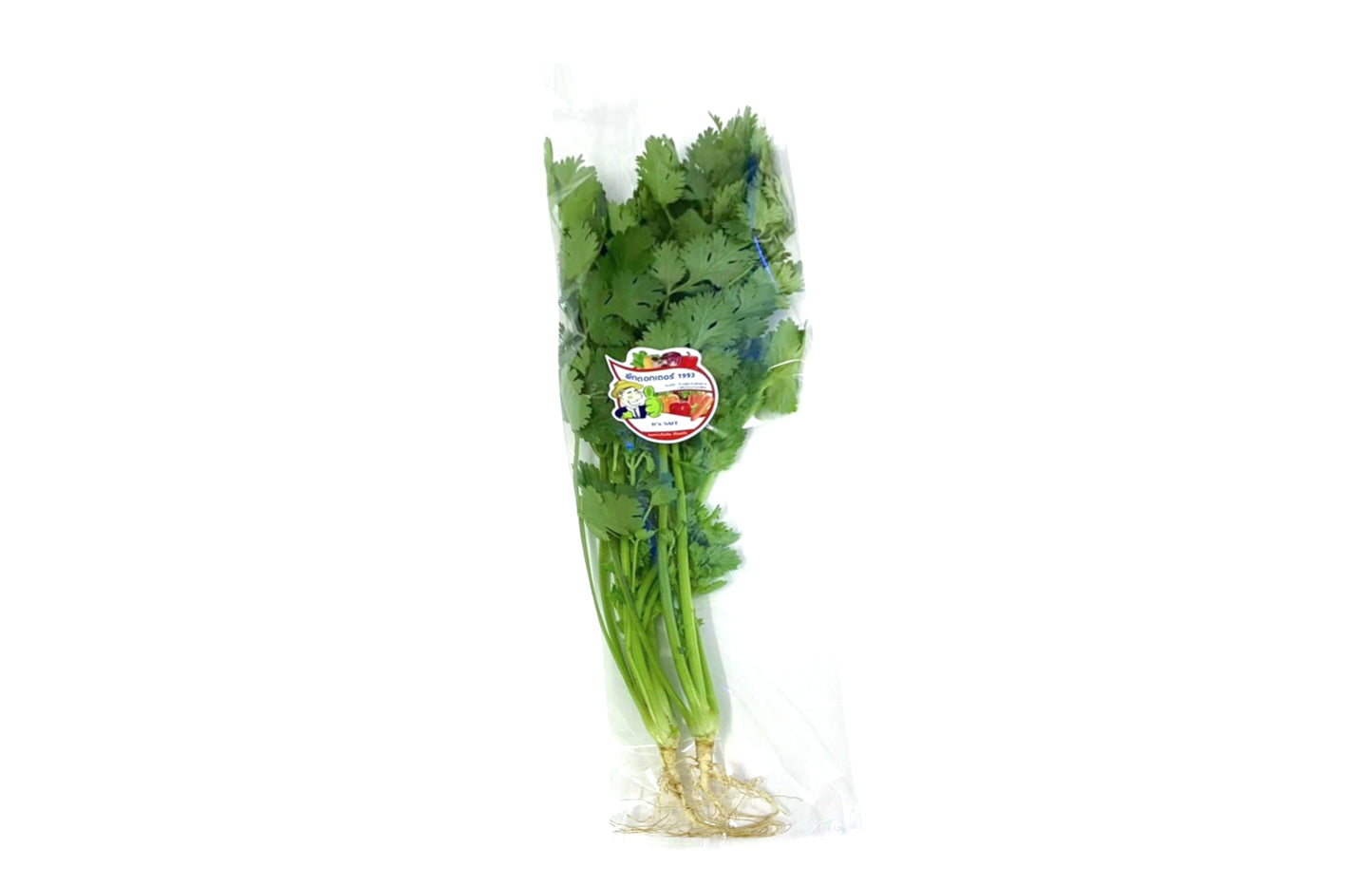 ผักชี