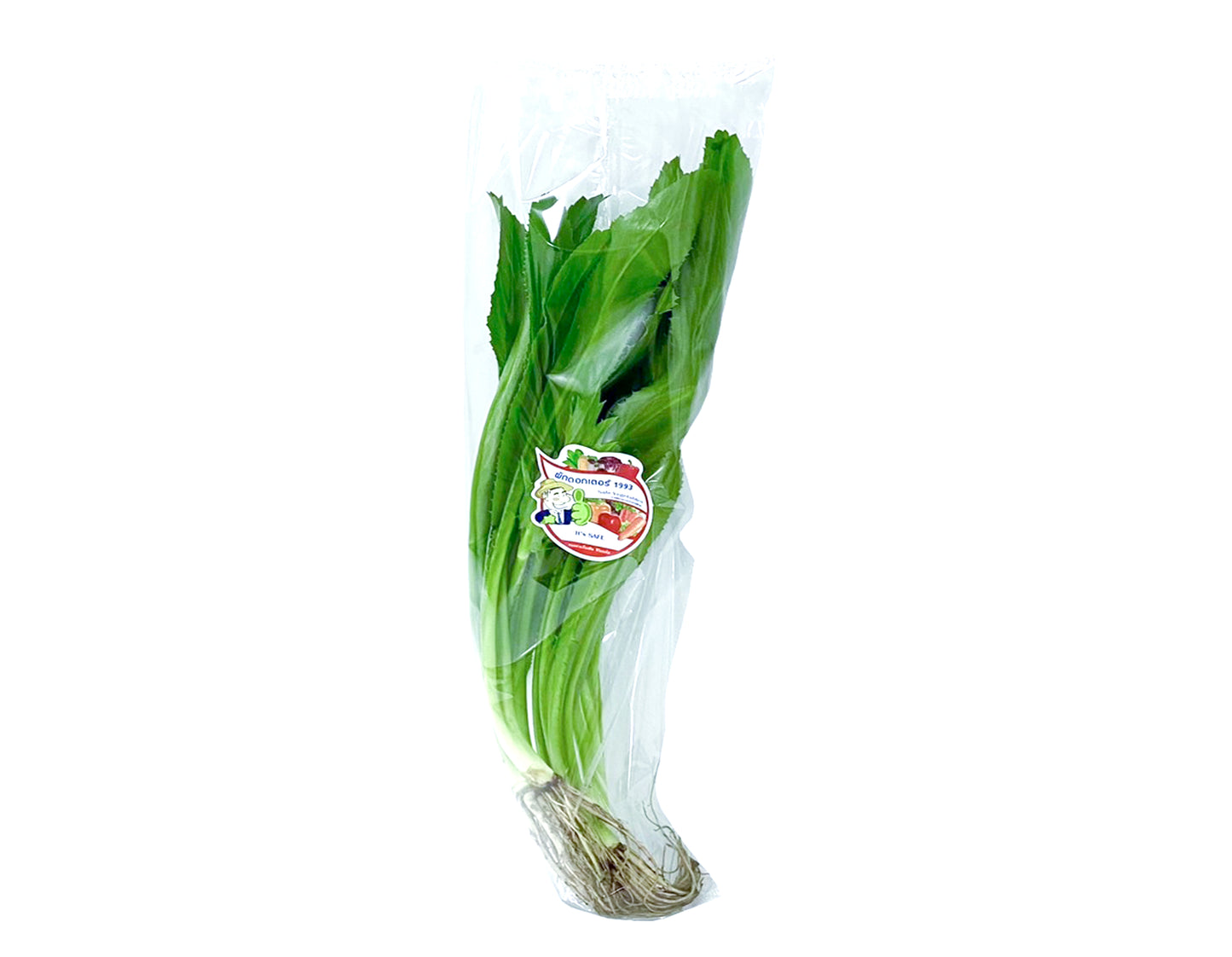 ผักชีฝรั่ง