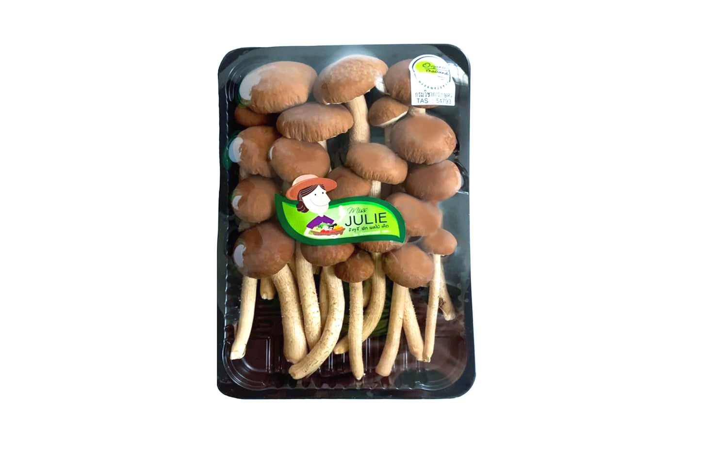 เห็ดนายางิอินทรีย์