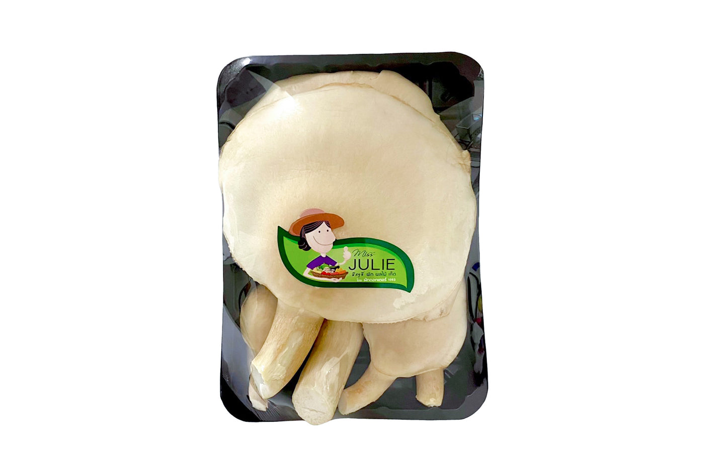 เห็ดเป๋าฮื้อสด