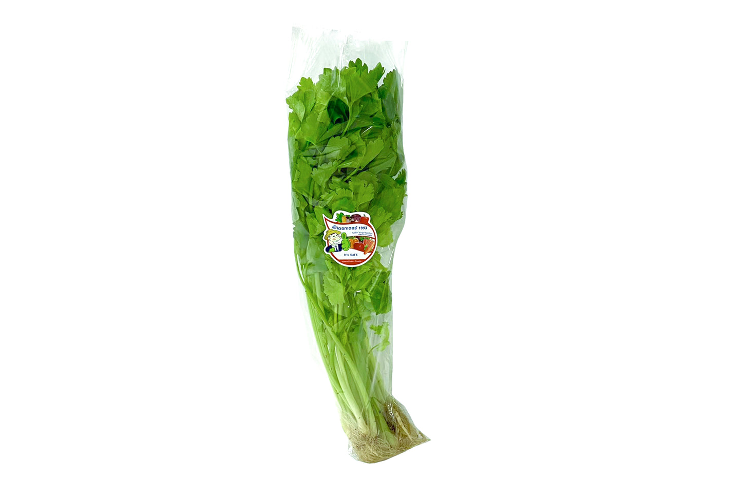 คื่นช่าย