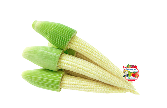 ข้าวโพดฝักอ่อน