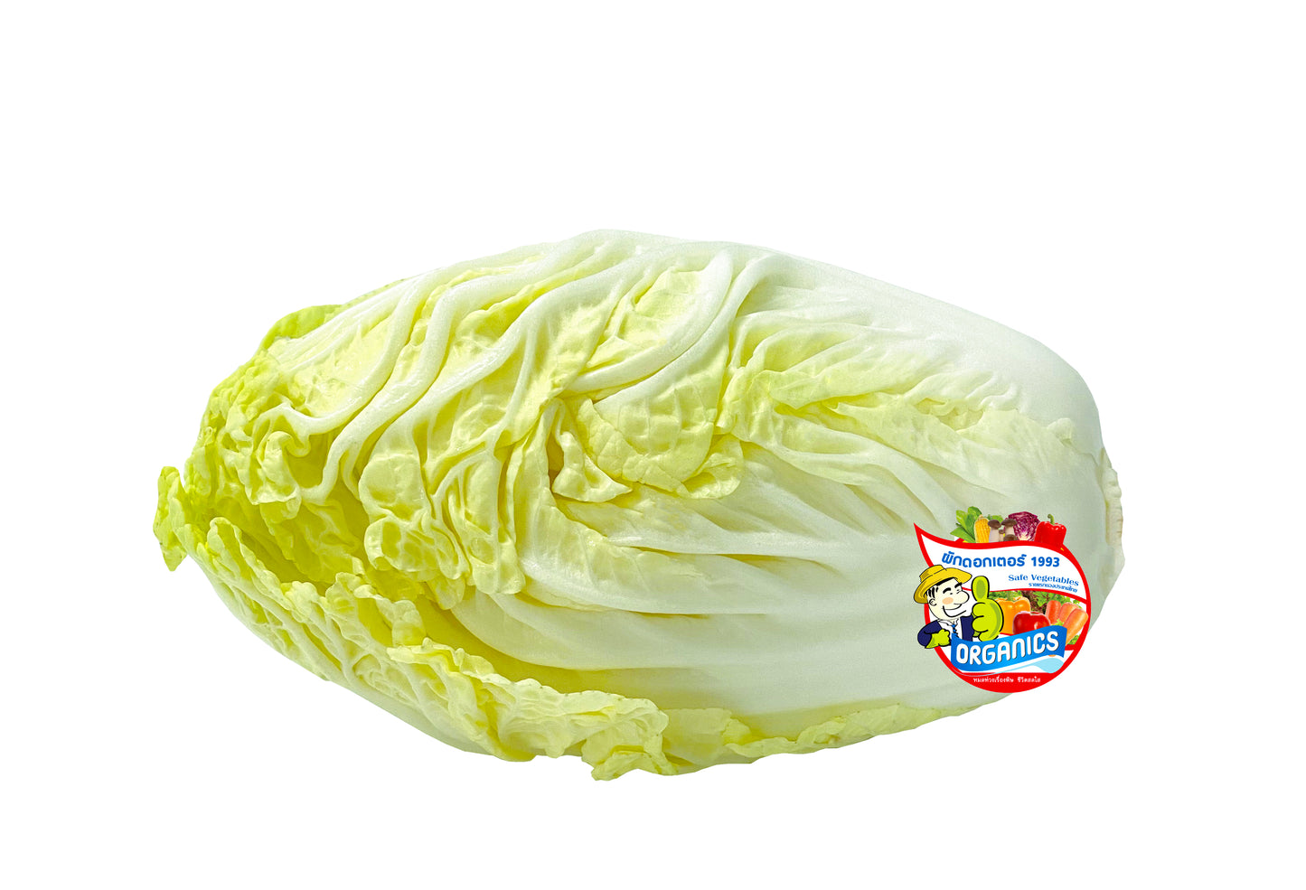 ผักกาดขาวปลี High a chinese cabbage  อินทรีย์