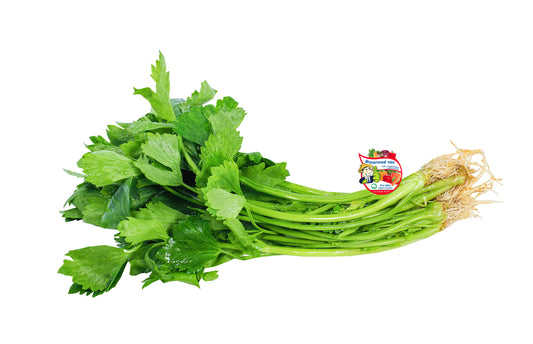 คื่นช่าย